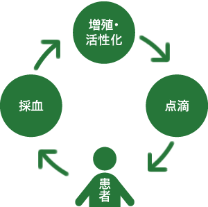 患者様より、採血 → 増殖・活性化 → 点滴 のサイクルを繰り返します。